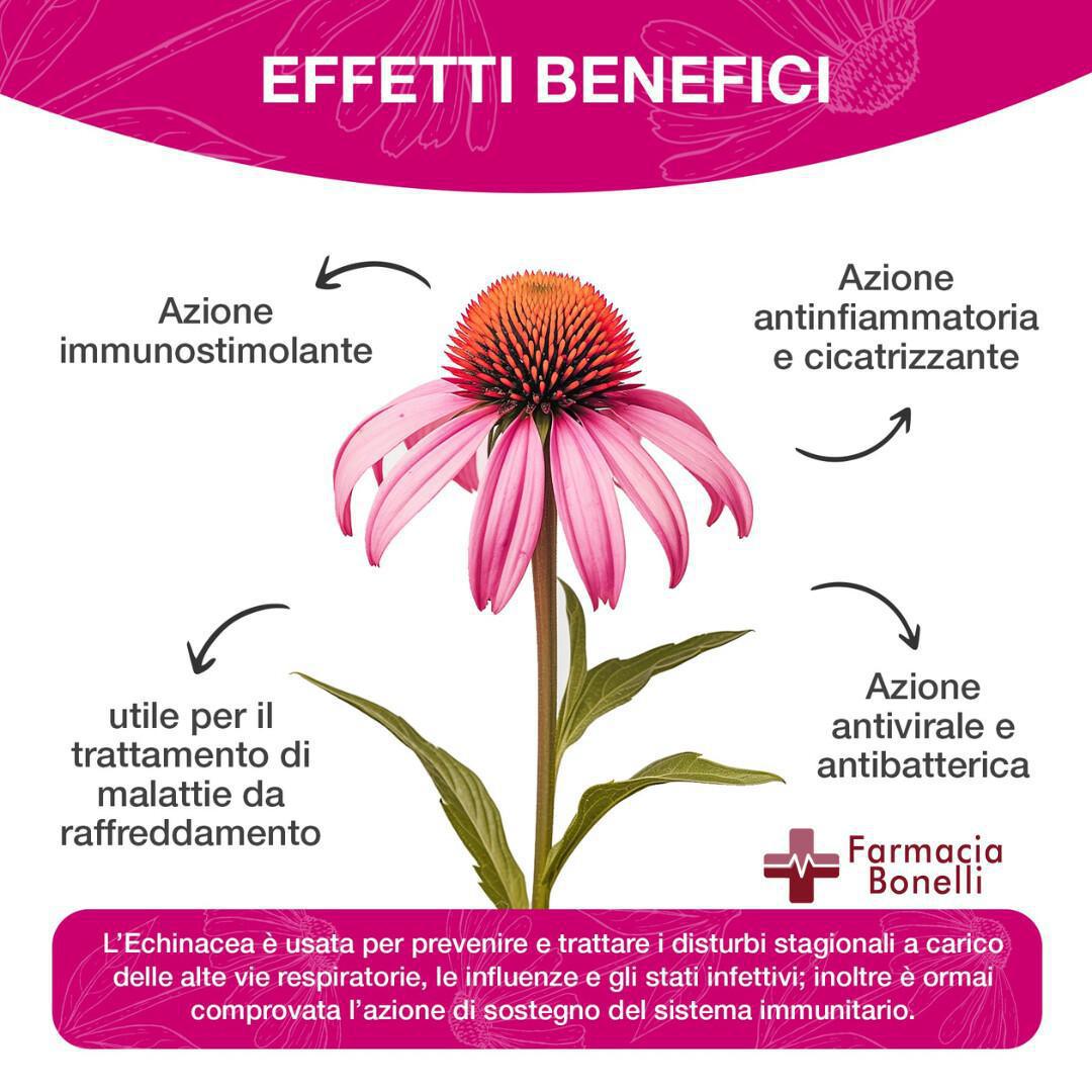 Difese immunitarie al top con Esi Echinaid: il potere naturale dell’echinacea.