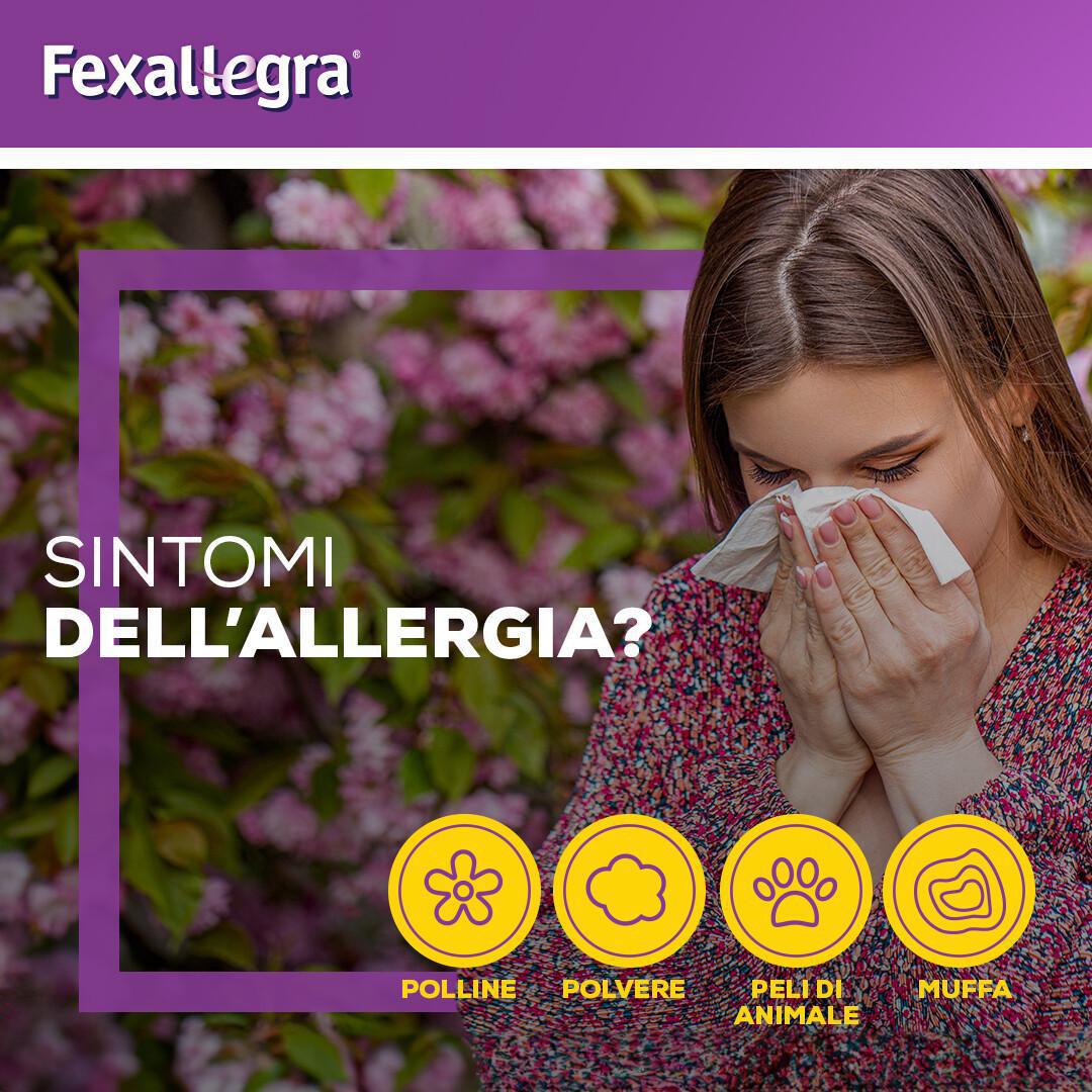 🚫 Allergia? No grazie! 🚫Mettila KO con Fexallegra!