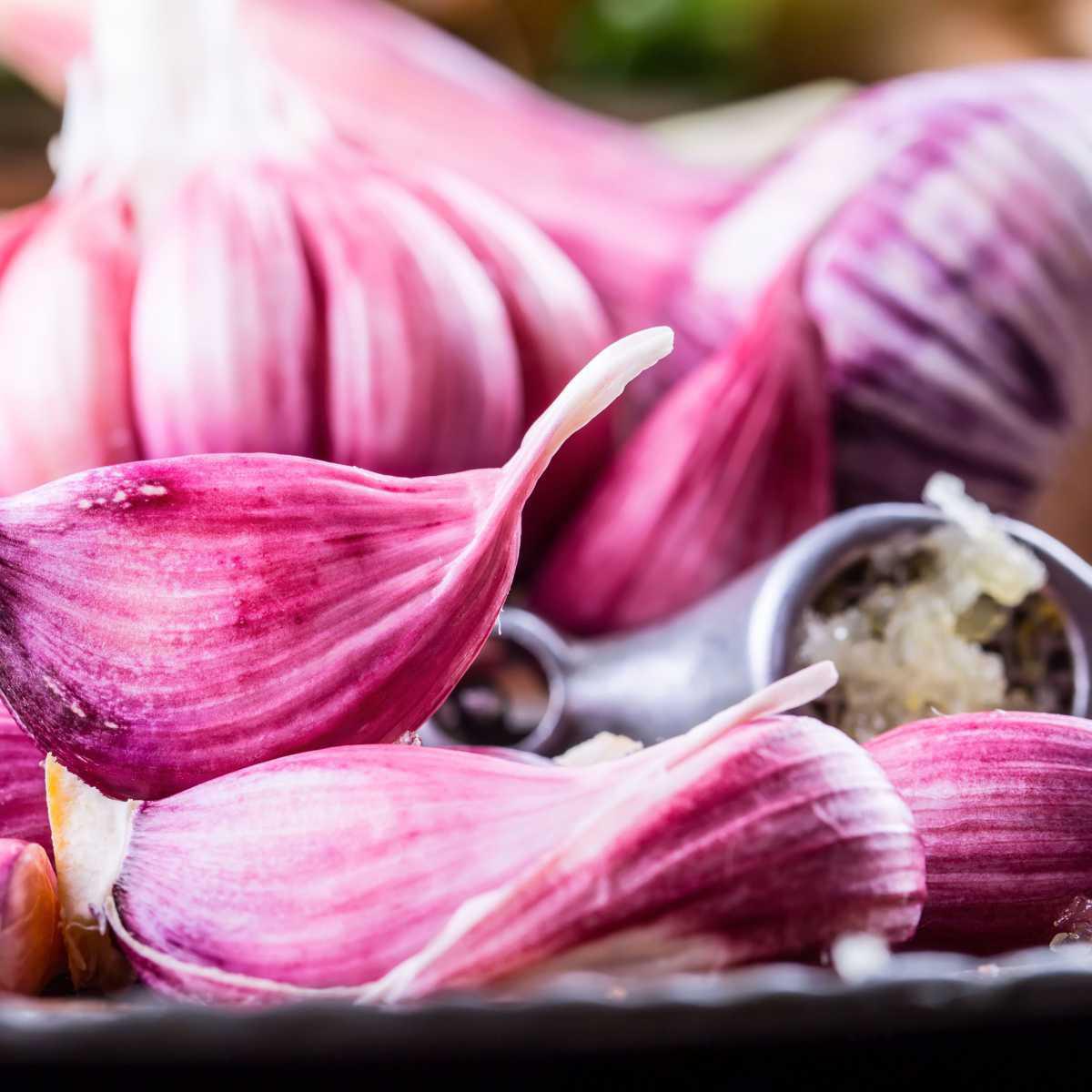 Xarope de alho Xarope de alho