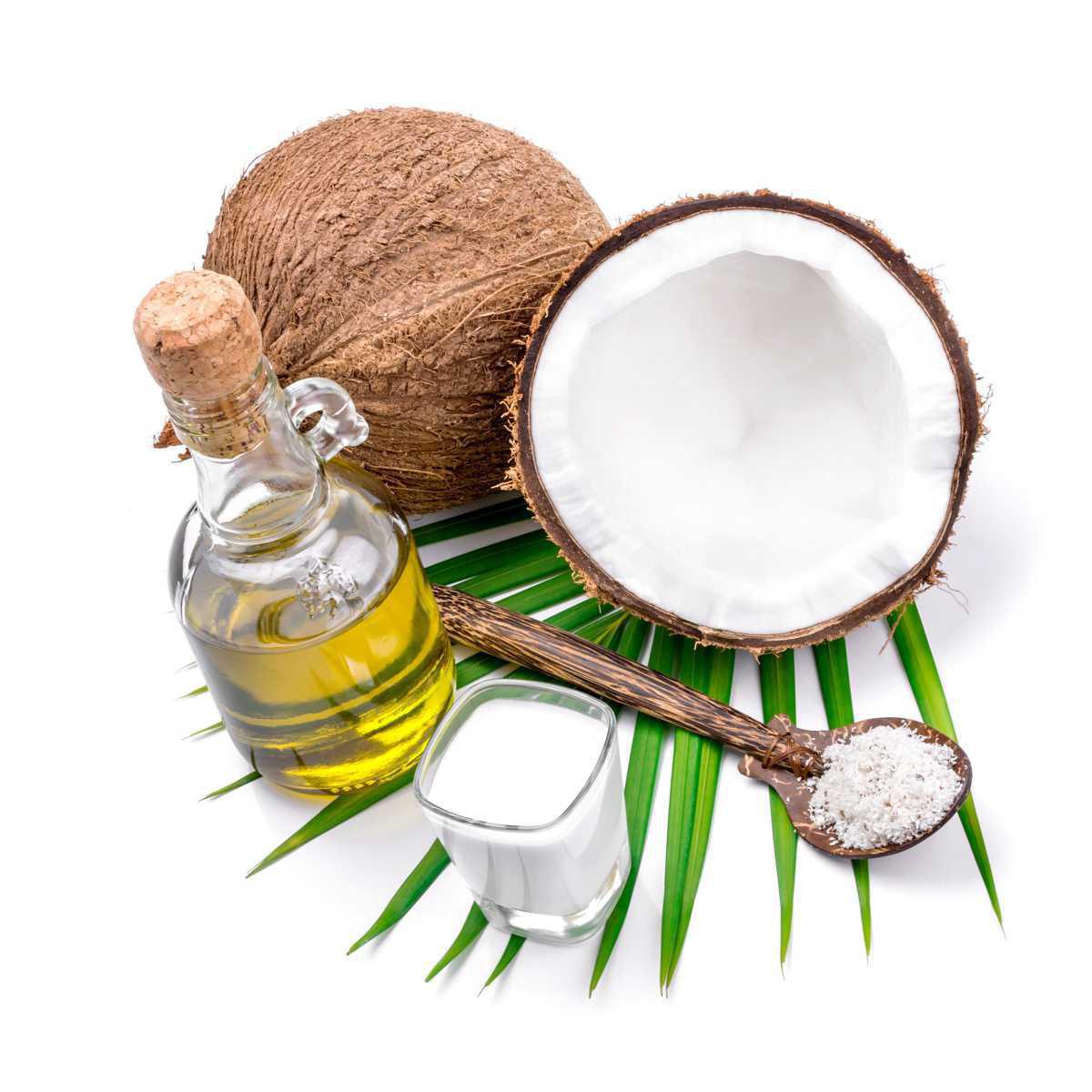 Coco (Cocos nucifera L.)