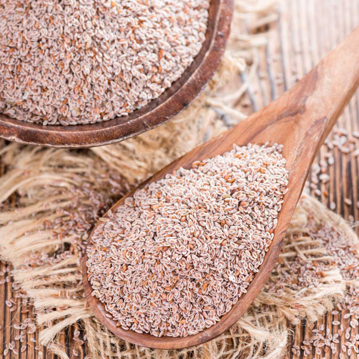 Psílio/Psyllium (Plantago afra L. , Plantago ovata)