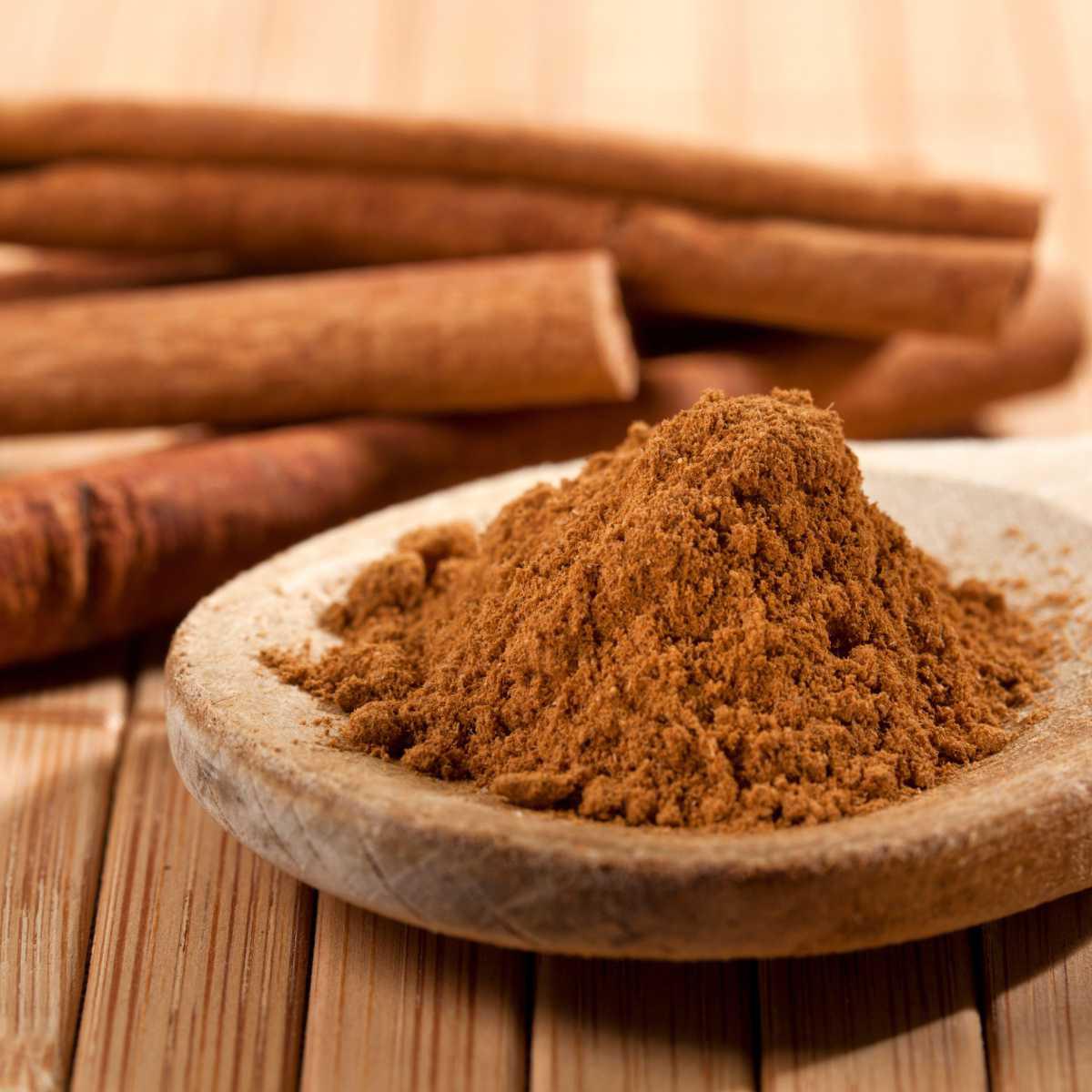 Canela (Cinnamomum verum)