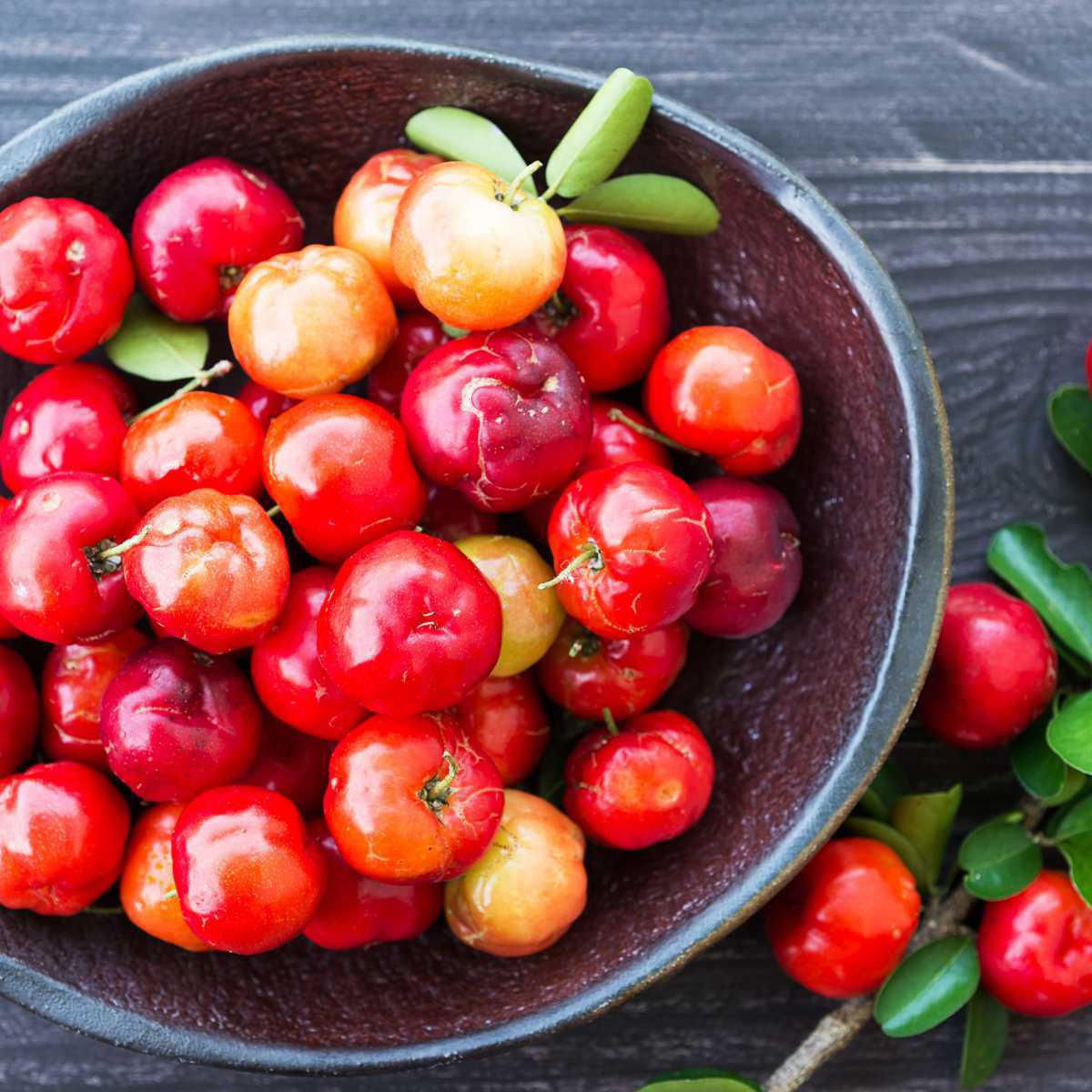 Acerola