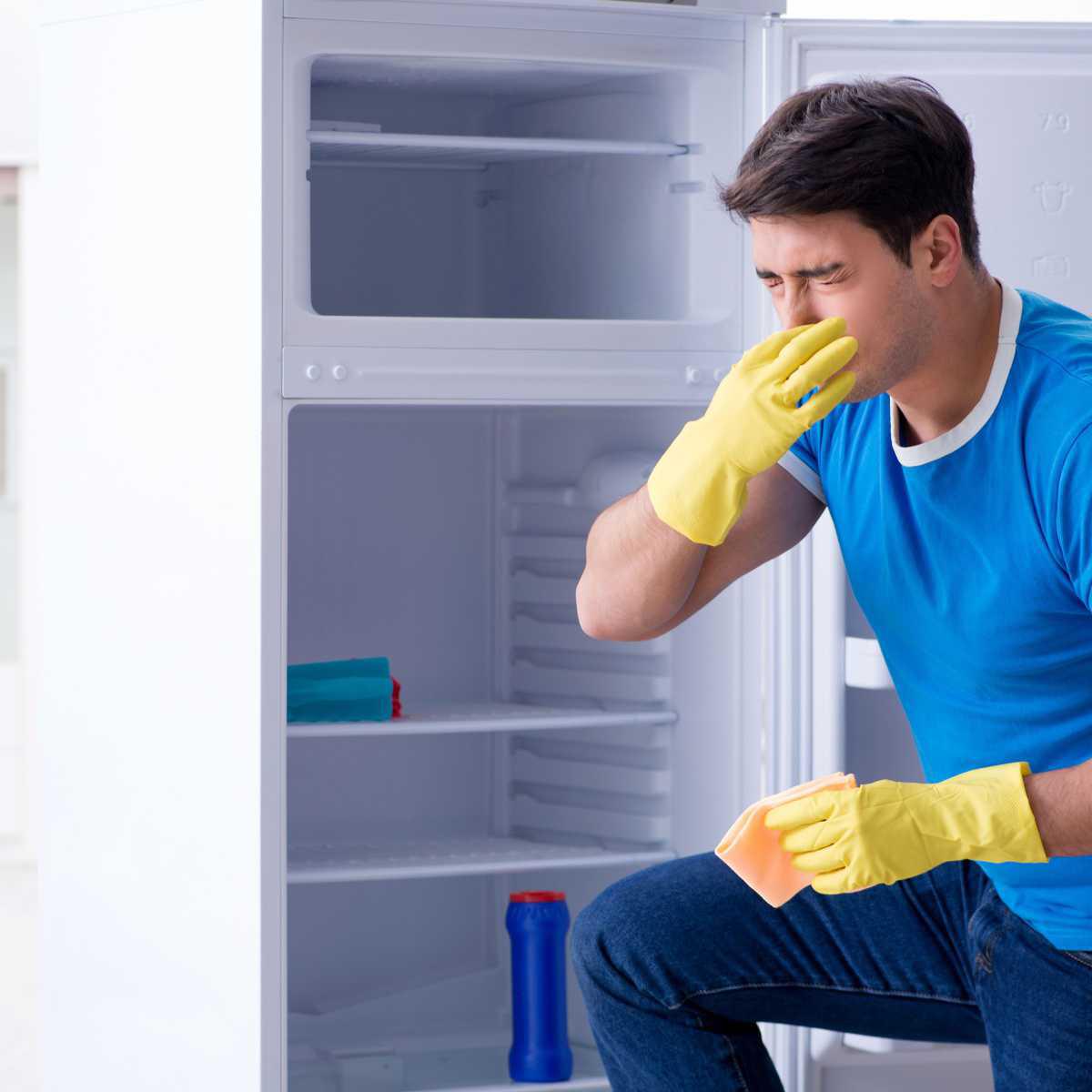 Desodorizante de frigorífico