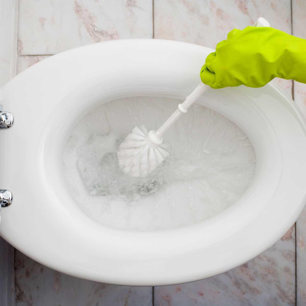 Limpeza, desinfeção e desodorização das sanitas