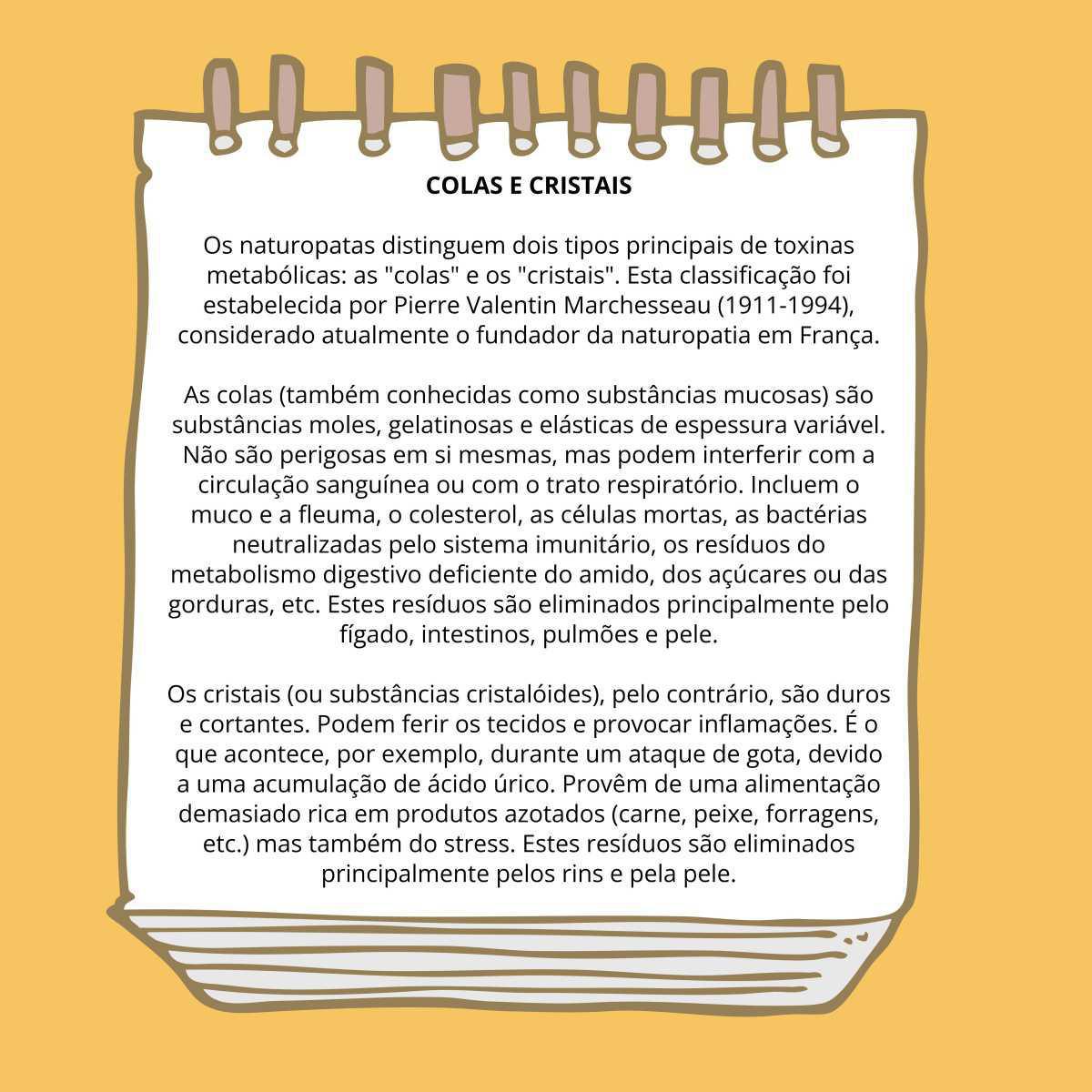 1. Instruções para uma desintoxicação bem sucedida