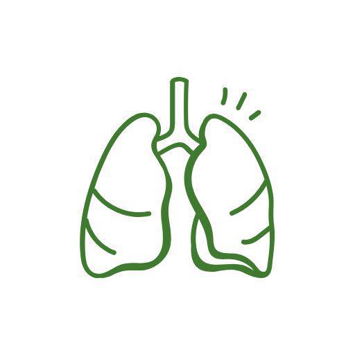 Spirometria