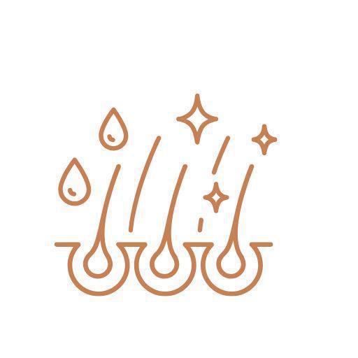 Analisi capelli Analisi capelli