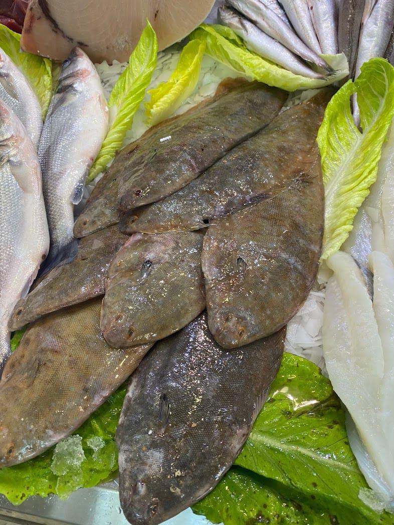 Freidor Real 109 Freidor Real 109