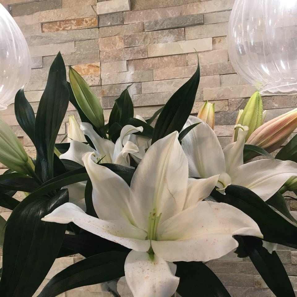 Floristería Malayerba