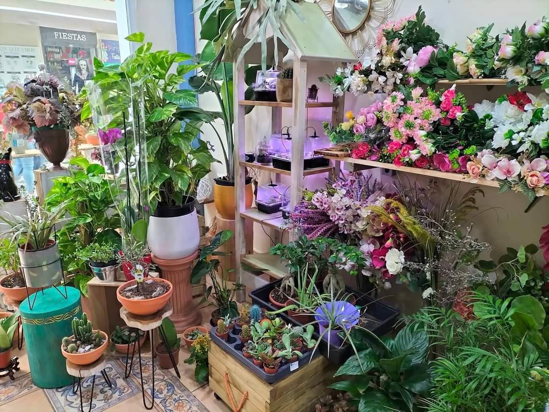 Desde Acosafe damos la Bienvenida a...¡Floristería Las Mimosas!