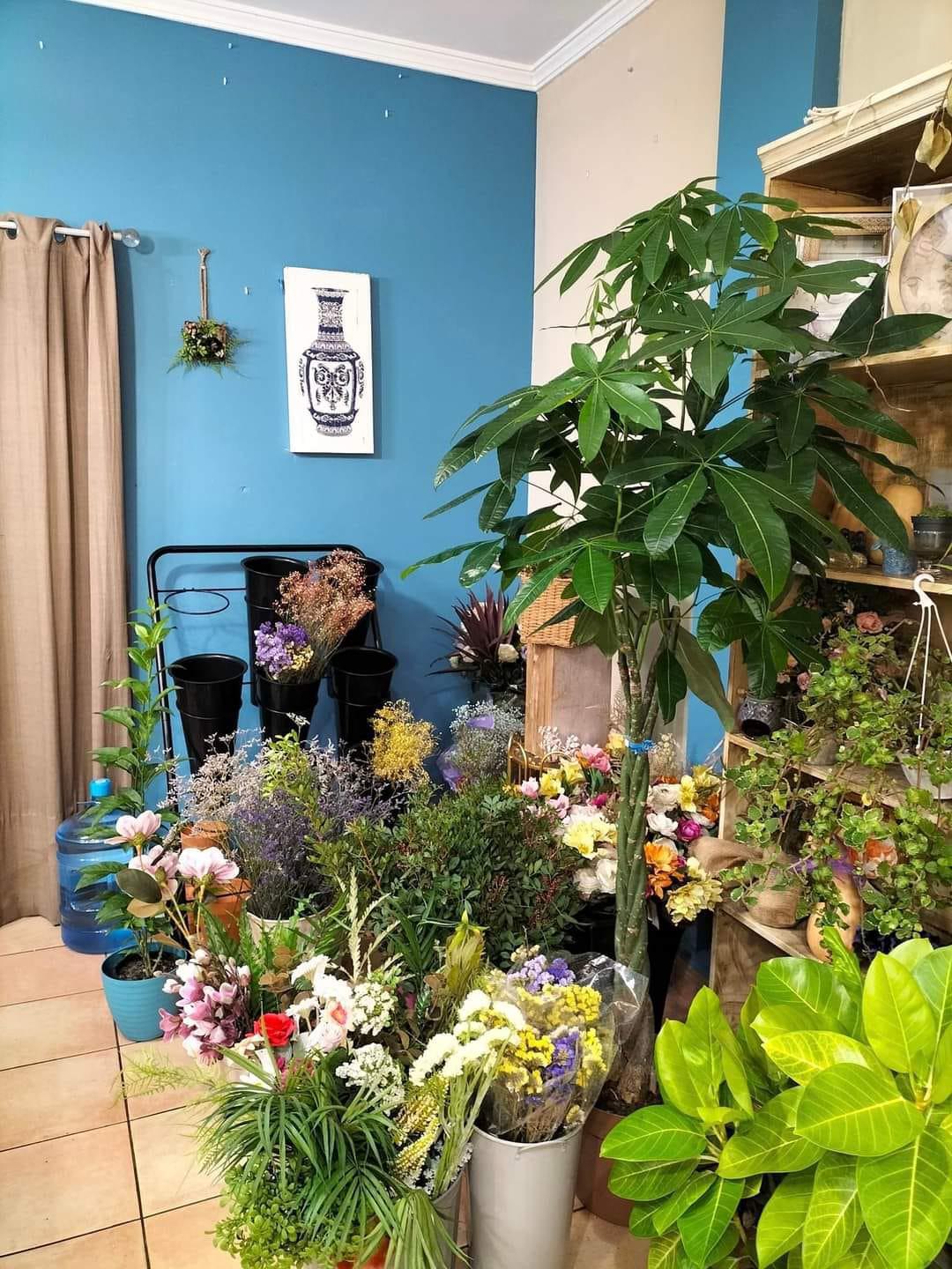 Floristería Las Mimosas