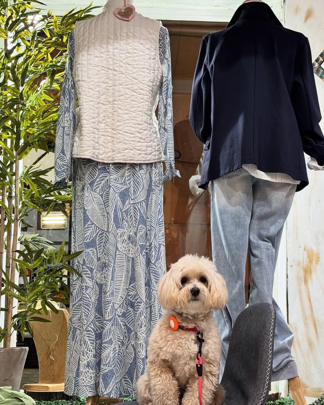 Ana Vargas Moda & Complementos