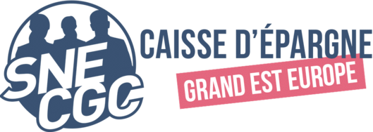 La Section Syndicale SNE-CGC CEGEE  La Section Syndicale SNE-CGC CEGEE