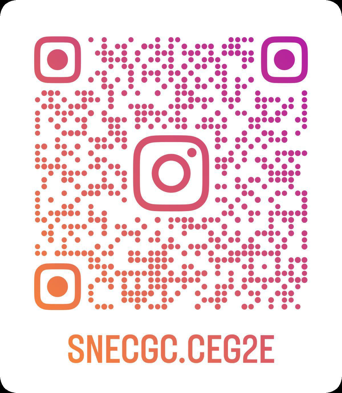 LANCEMENT DU COMPTE INSTAGRAM DU SNE-CGC CEGEE
