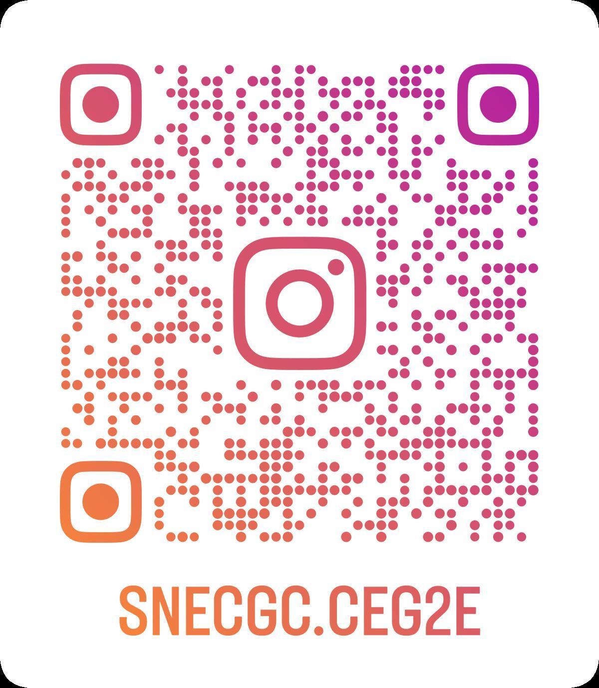LANCEMENT DU COMPTE INSTAGRAM DU SNE-CGC CEGEE LANCEMENT DU COMPTE INSTAGRAM DU SNE-CGC CEGEE