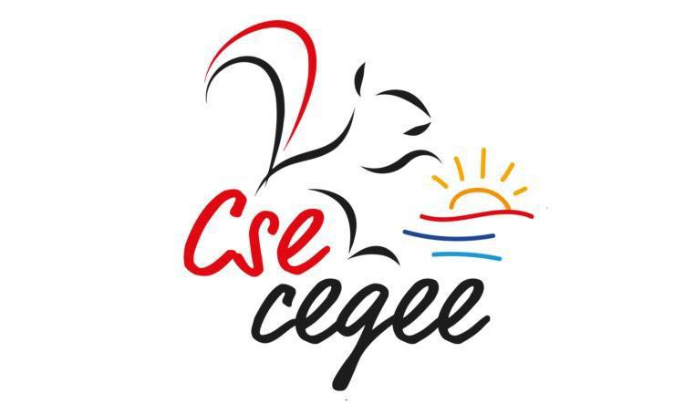 OEUVRES SOCIALES & CULTURELLES DU CSE : LE MOT DE SON SECRÉTAIRE