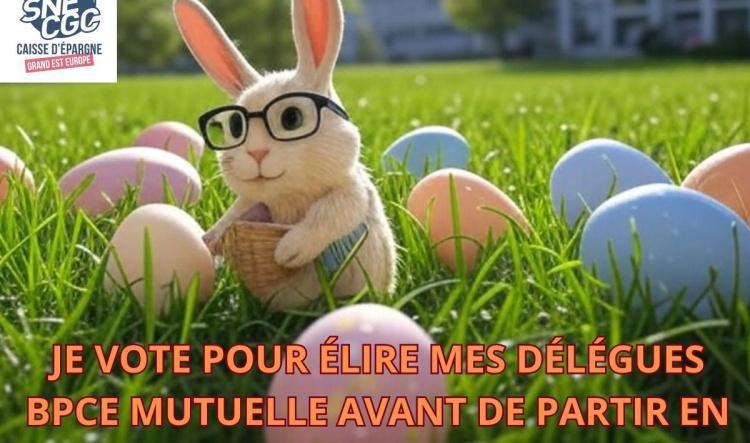 JE VOTE POUR ÉLIRE MES DÉLÉGUÉS BPCE MUTUELLE AVANT DE PARTIR EN WEEK-END