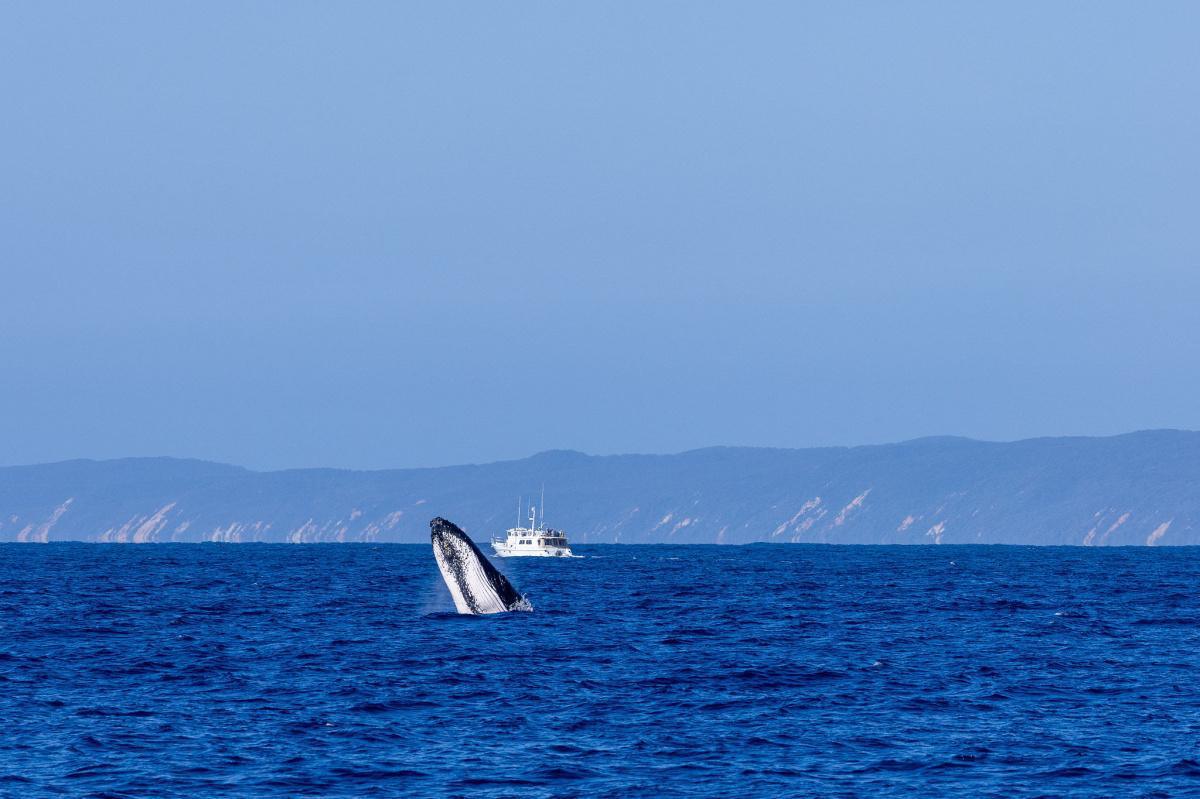 RMC Whitsundays Experience 2025 – A Coastal Cruising Adventure