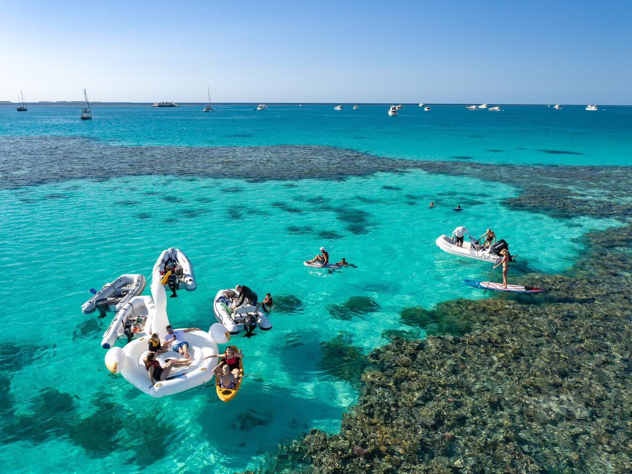 Reef Exploring 