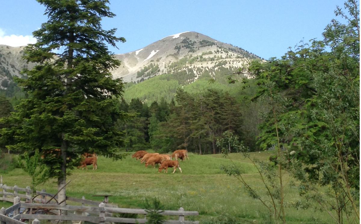 Une ferme en altitude Une ferme en altitude