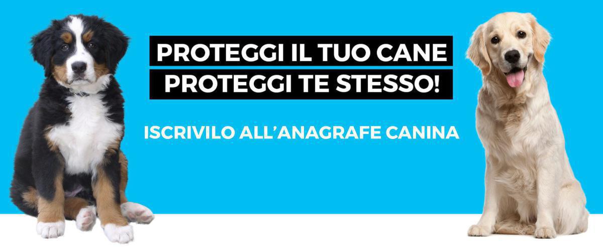 Anagrafe Canina Anagrafe Canina