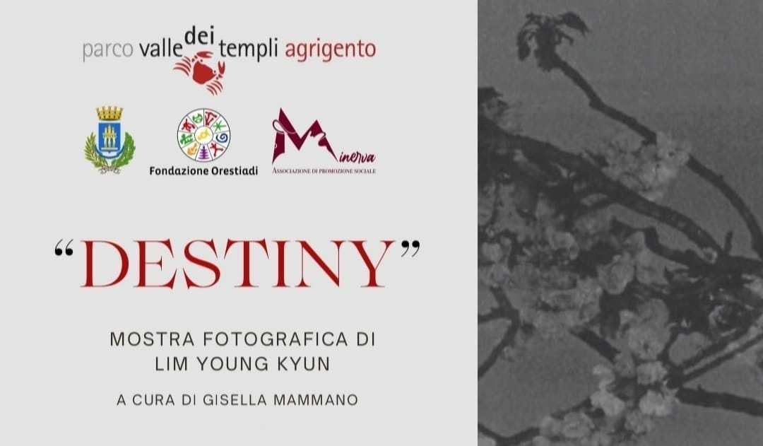 Inaugurazione della mostra fotografica di Lim Young Kyun "Destiny" (inizio ore 18:00)