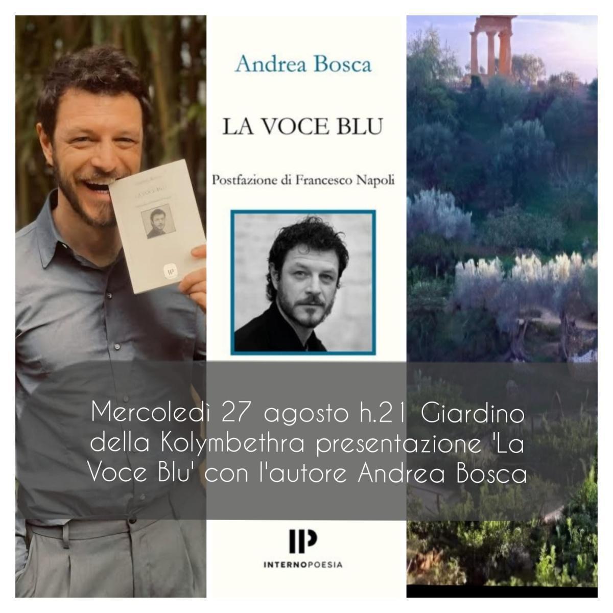 Presentazione "La Voce Blu" con l'Autore Andrea Bosca (inizio ore 21.00)
