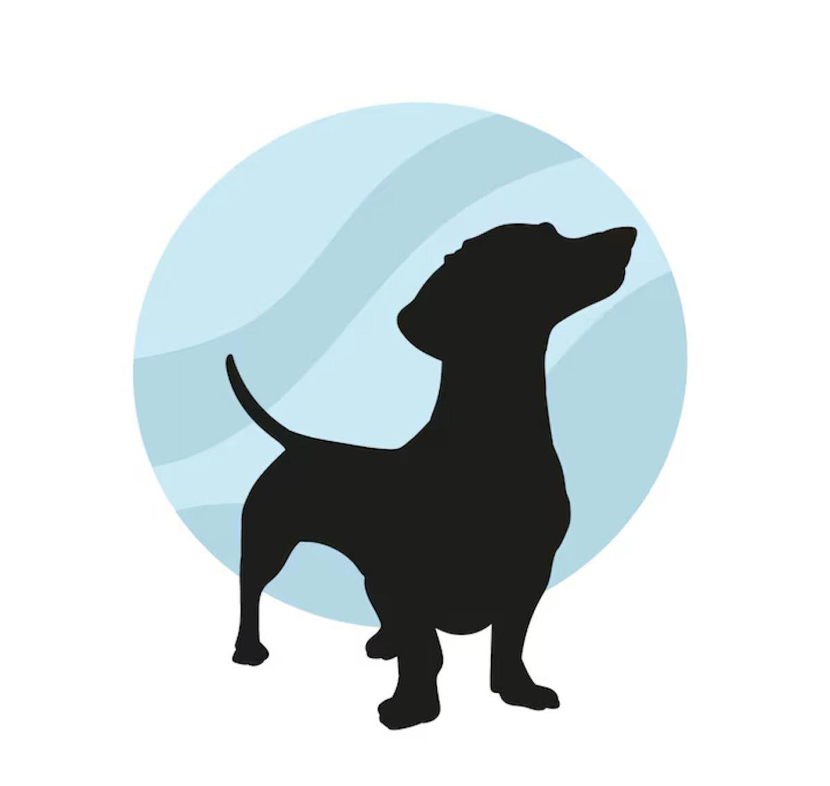 Qui troverai a breve i nostri amici a quattro zampe da adottare