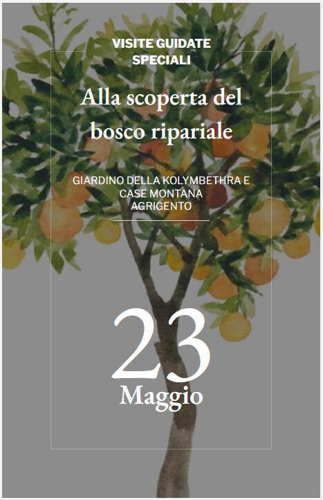 Alla scoperta del bosco ripariale Camminate nella biodiversità (Dalle ore 11:00 alle ore 13:00) Alla scoperta del bosco ripariale Camminate nella biodiversità (Dalle ore 11:00 alle ore 13:00)