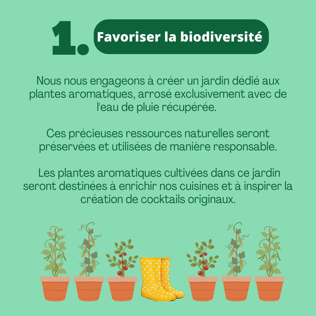 Notre plan d'actions 2025
