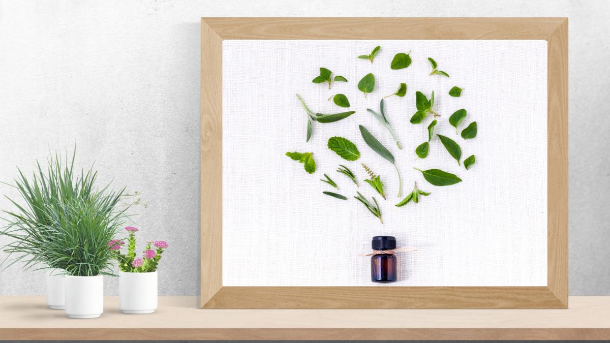 What is an Aromatherapist?
