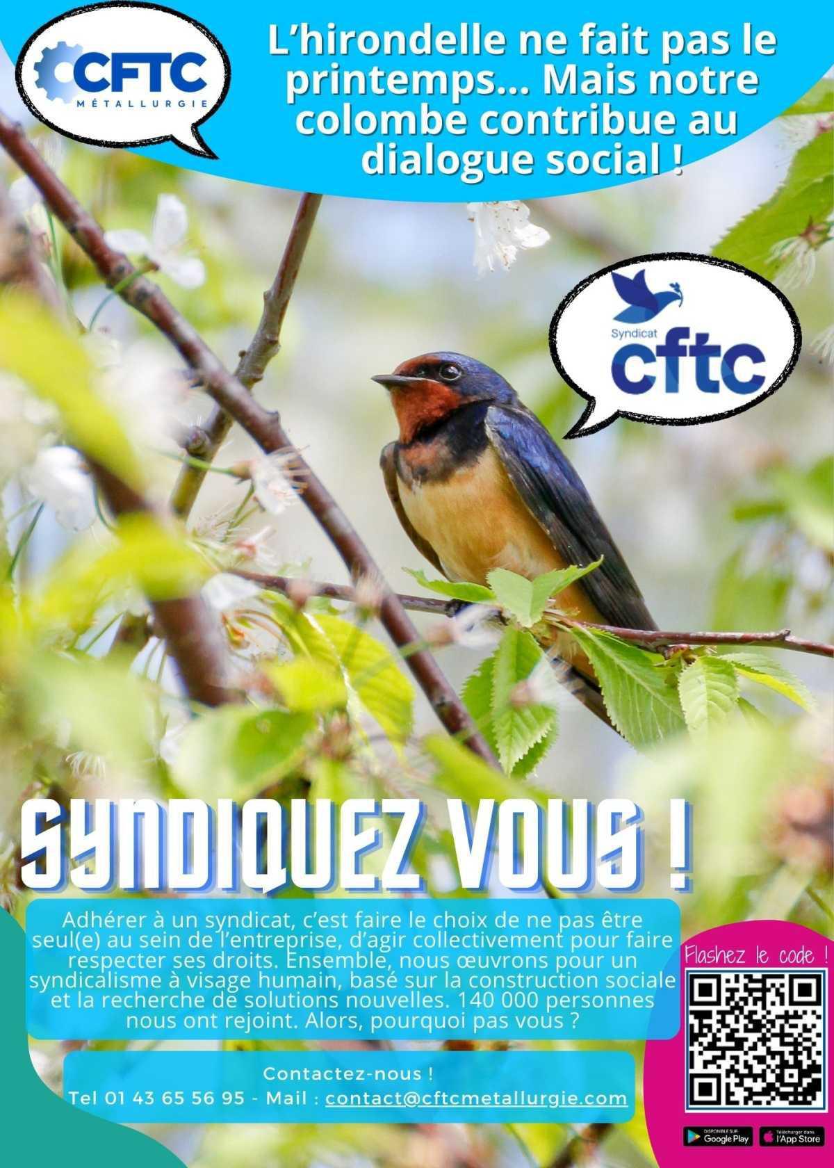 🕊️🌸C'est le printemps ! 🕊️🌸C'est le printemps !