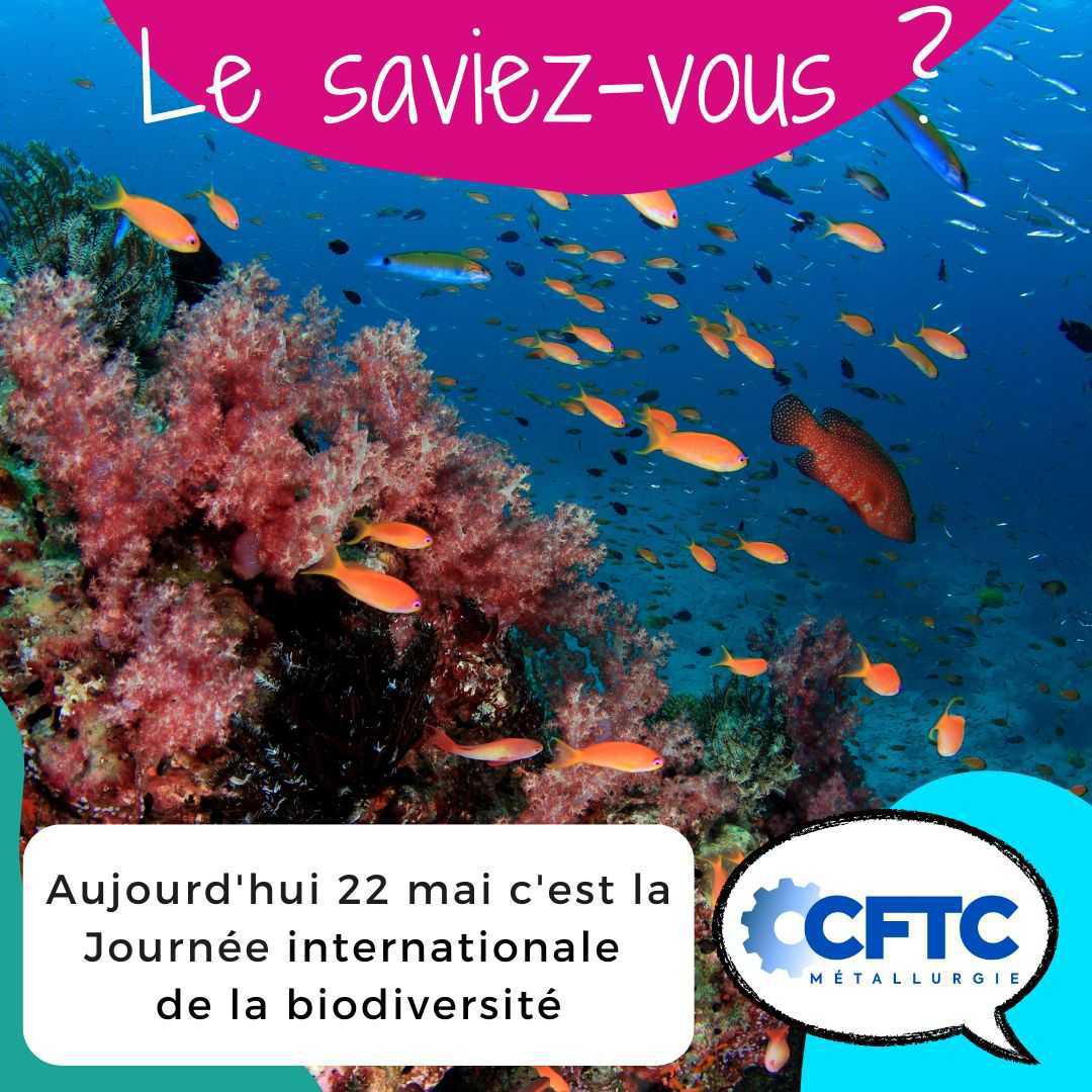 Journée internationale de la biodiversité