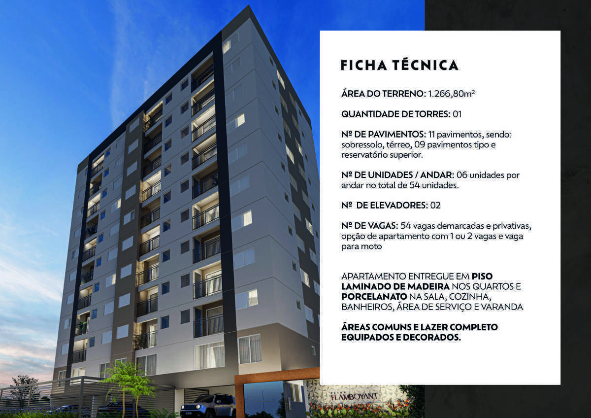 Petra flamboyant Petra flamboyant