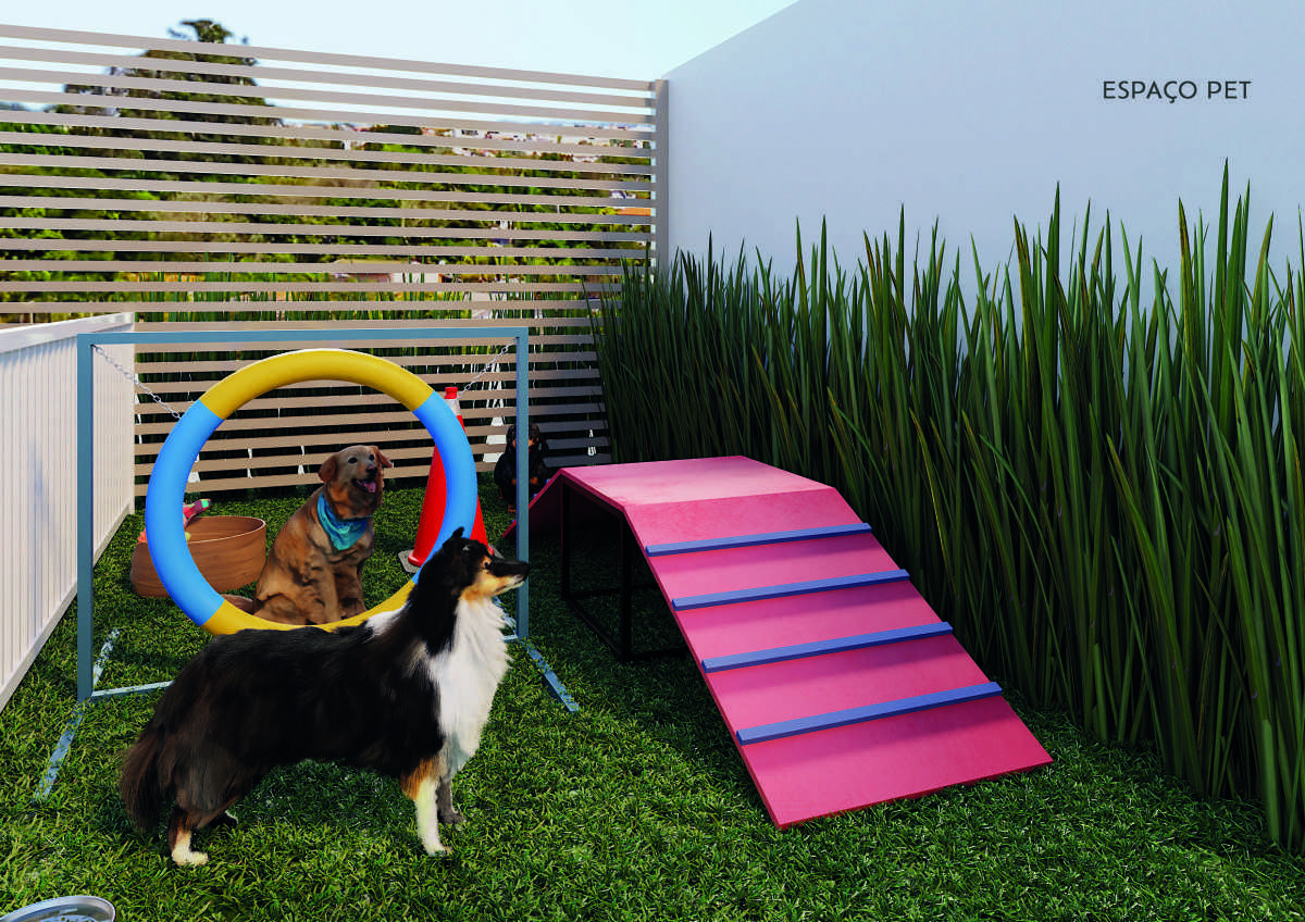 Petra flamboyant Petra flamboyant