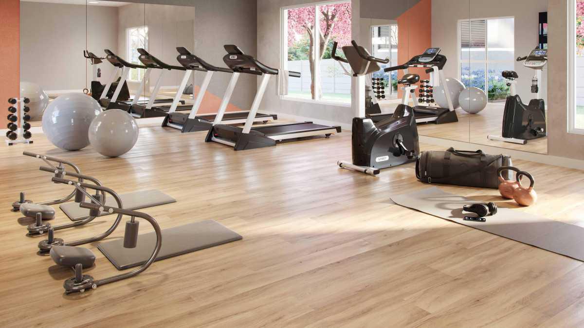 hm intense Valinhos hm intense Valinhos