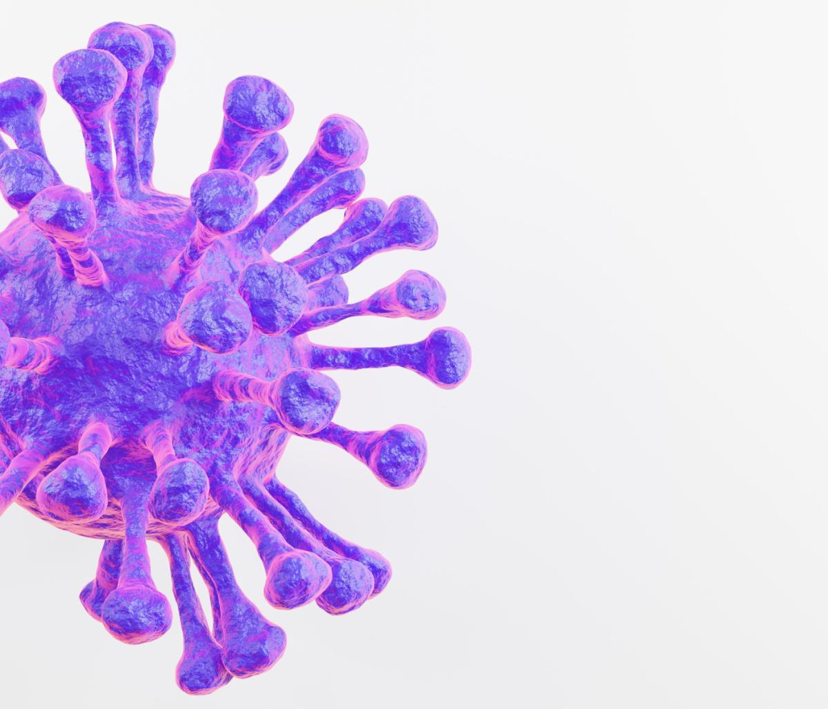 Analisi globuli bianchi Analisi globuli bianchi