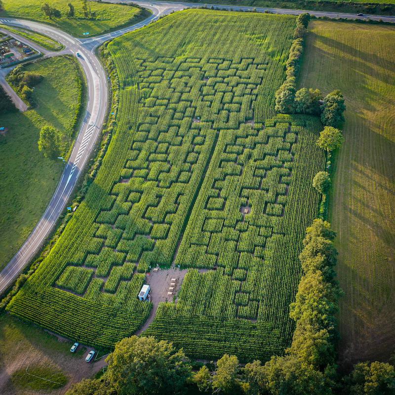 Pop Corn Labyrinthe 