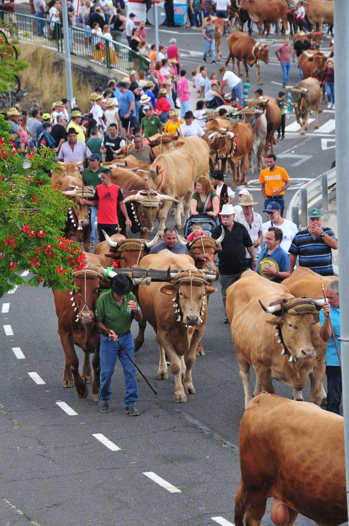 ROMERÍA DE EL CHORRILLO