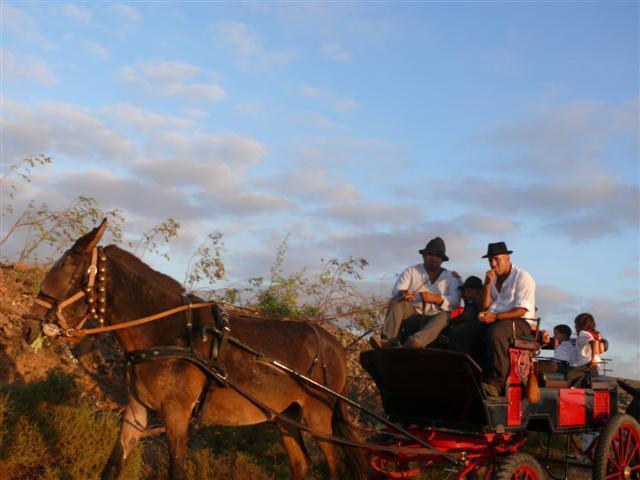 ROMERÍA DE MAJANICHO