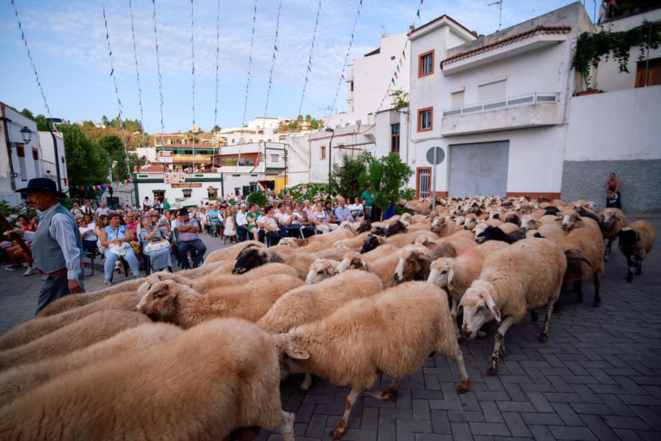ROMERÍA-OFRENDA DE FONTANALES