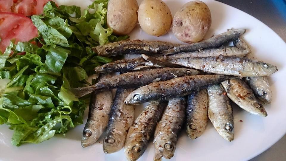 BAR LA CALETILLA CASA CHANO BAR LA CALETILLA CASA CHANO