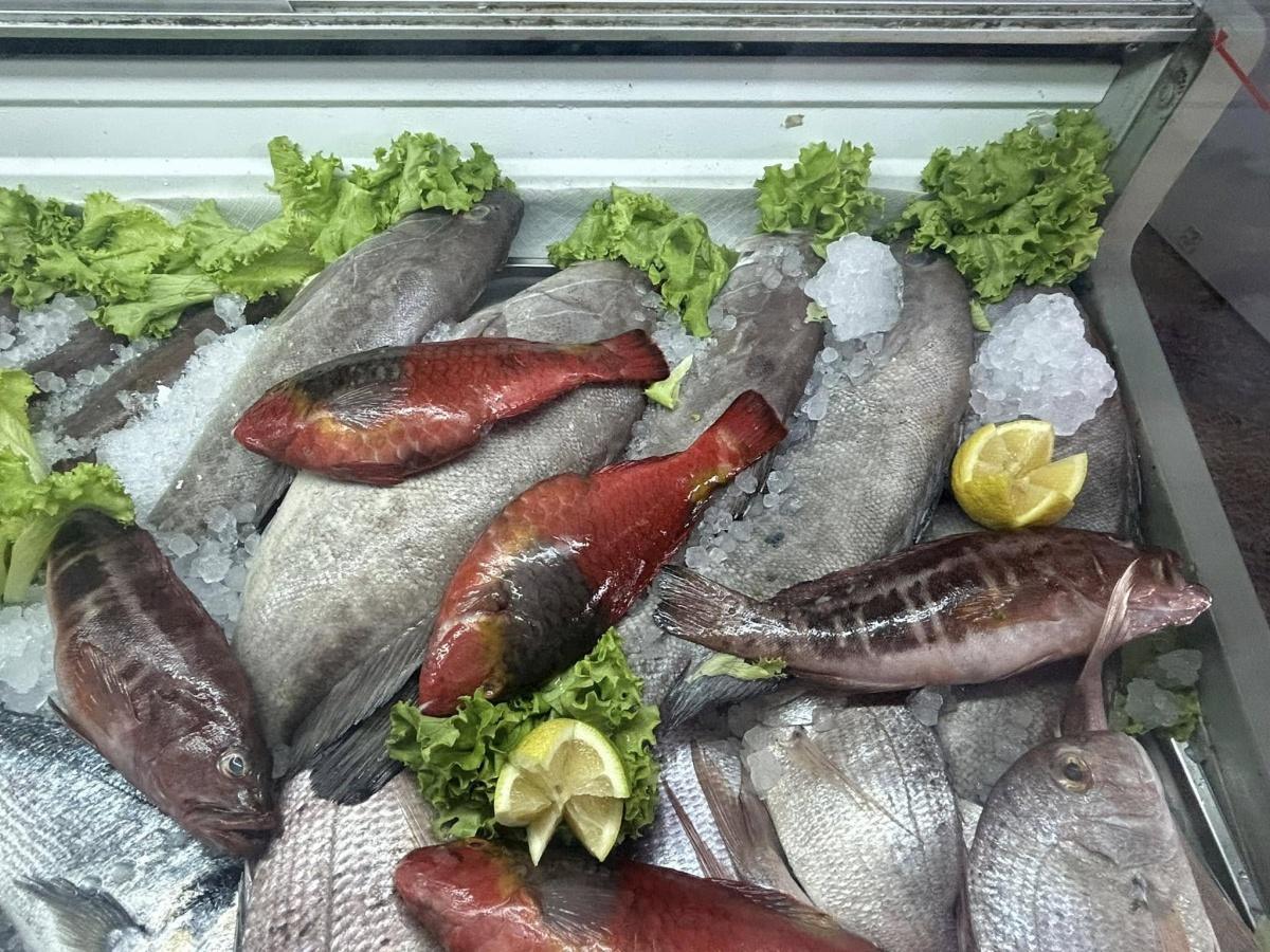 BAR COFRADÍA DE PESCADORES Nª SEÑORA DE CANDELARIA BAR COFRADÍA DE PESCADORES Nª SEÑORA DE CANDELARIA