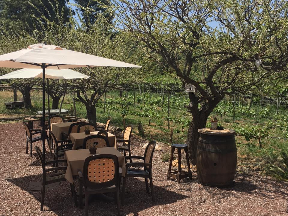 ASADOR GUACHINCHE EL MIRADERO ASADOR GUACHINCHE EL MIRADERO