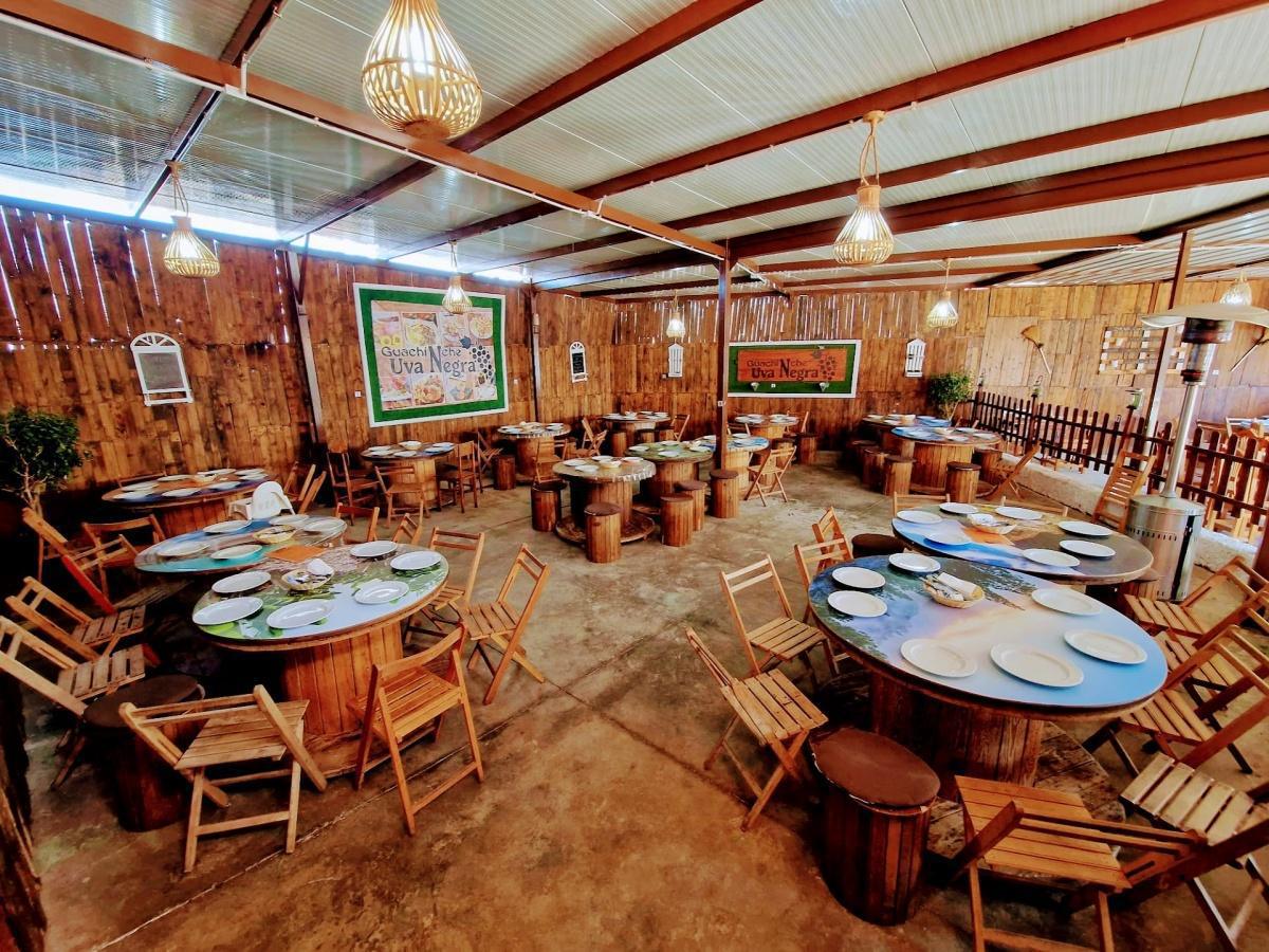 GUACHINCHE UVA NEGRA GUACHINCHE UVA NEGRA