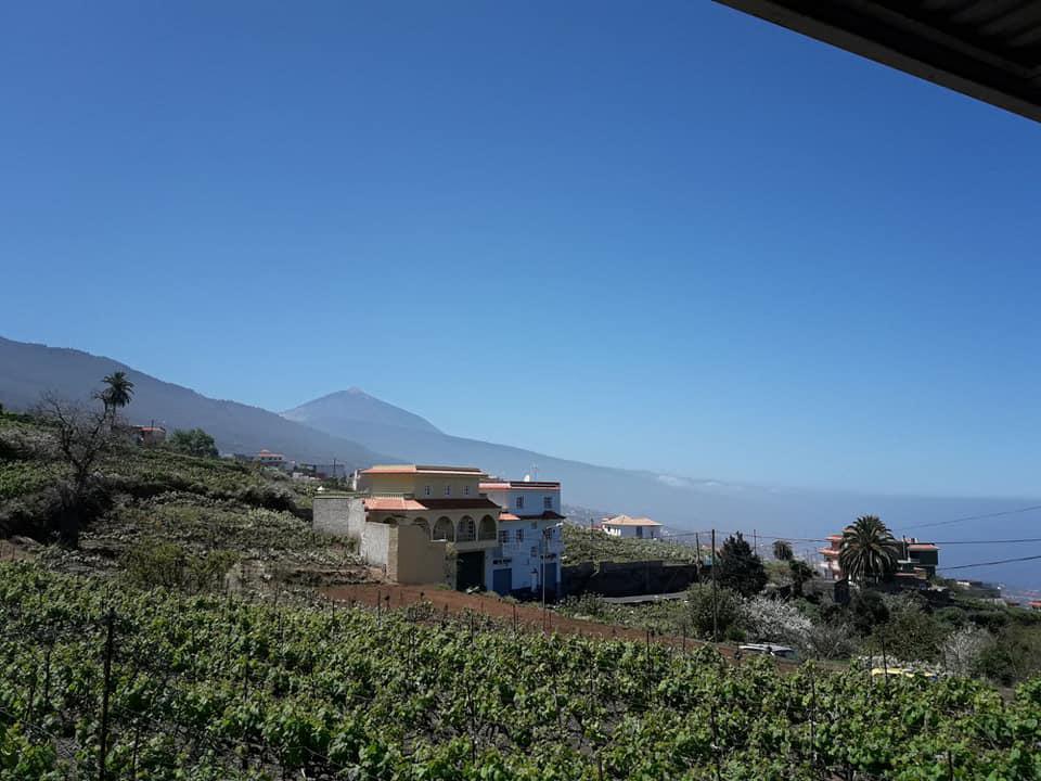 GUACHINCHE LA CUADRA