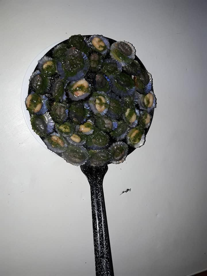 GUACHINCHE LA CUADRA GUACHINCHE LA CUADRA