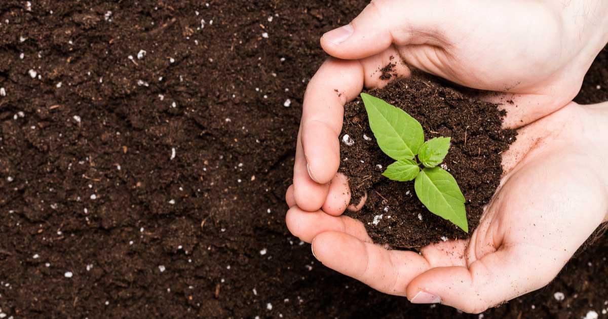 Día Mundial de la Conservación del Suelo Día Mundial de la Conservación del Suelo