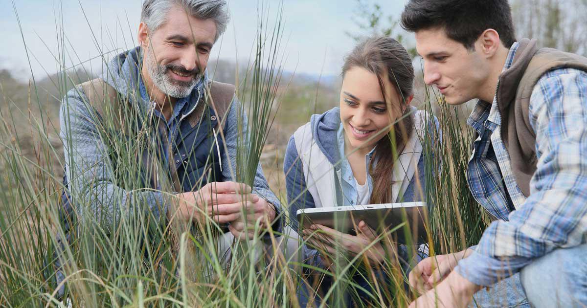 Día Mundial de la Educación Ambiental